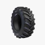 AGRIMAX RT 765M tires